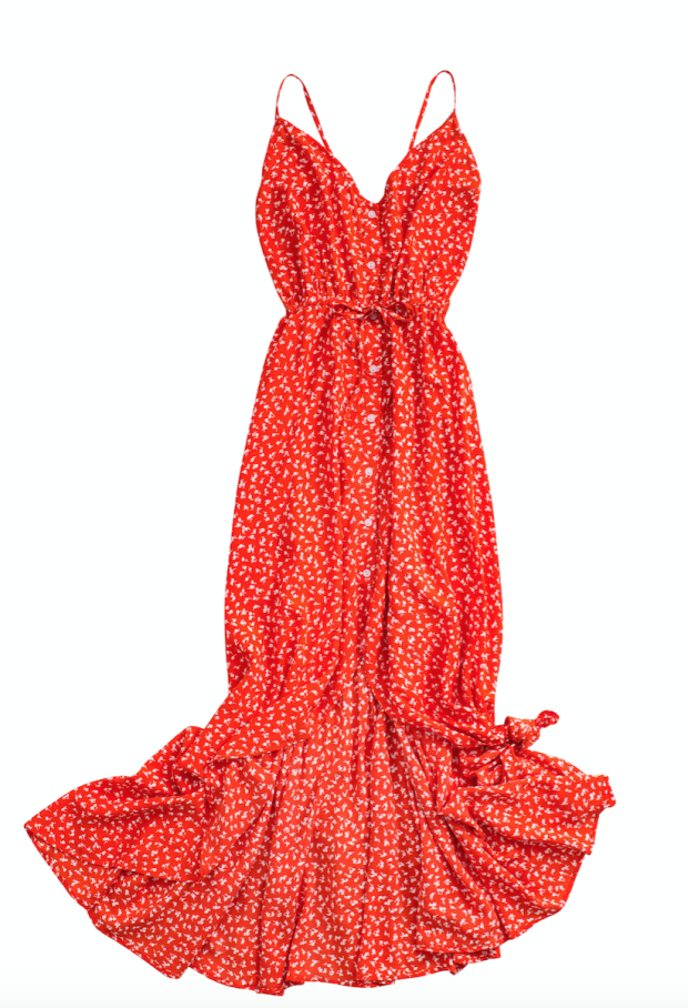 Vagabond Backless Splash Dress